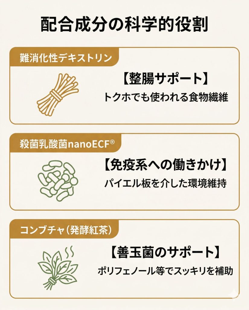 リムイット48Plusの主要成分（難消化性デキストリン、殺菌乳酸菌、コンブチャ）の役割をまとめた図。